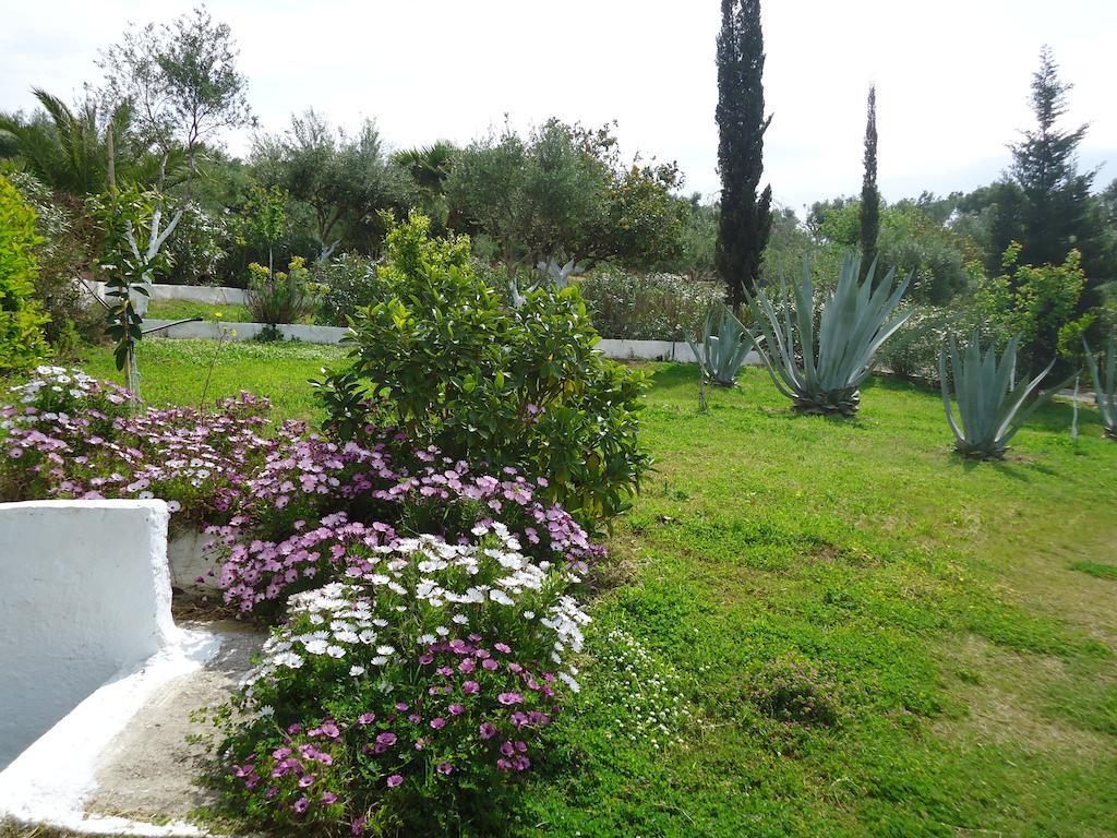 Muses Villas Finikounta Room photo